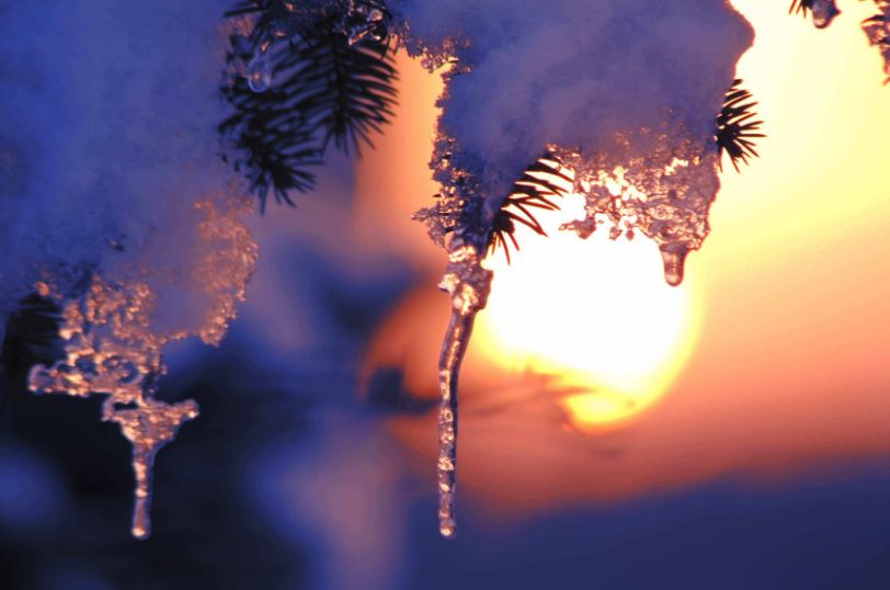 「诗词鉴赏」春雪正纷纷,古诗词里的春雪,纷纷扬扬