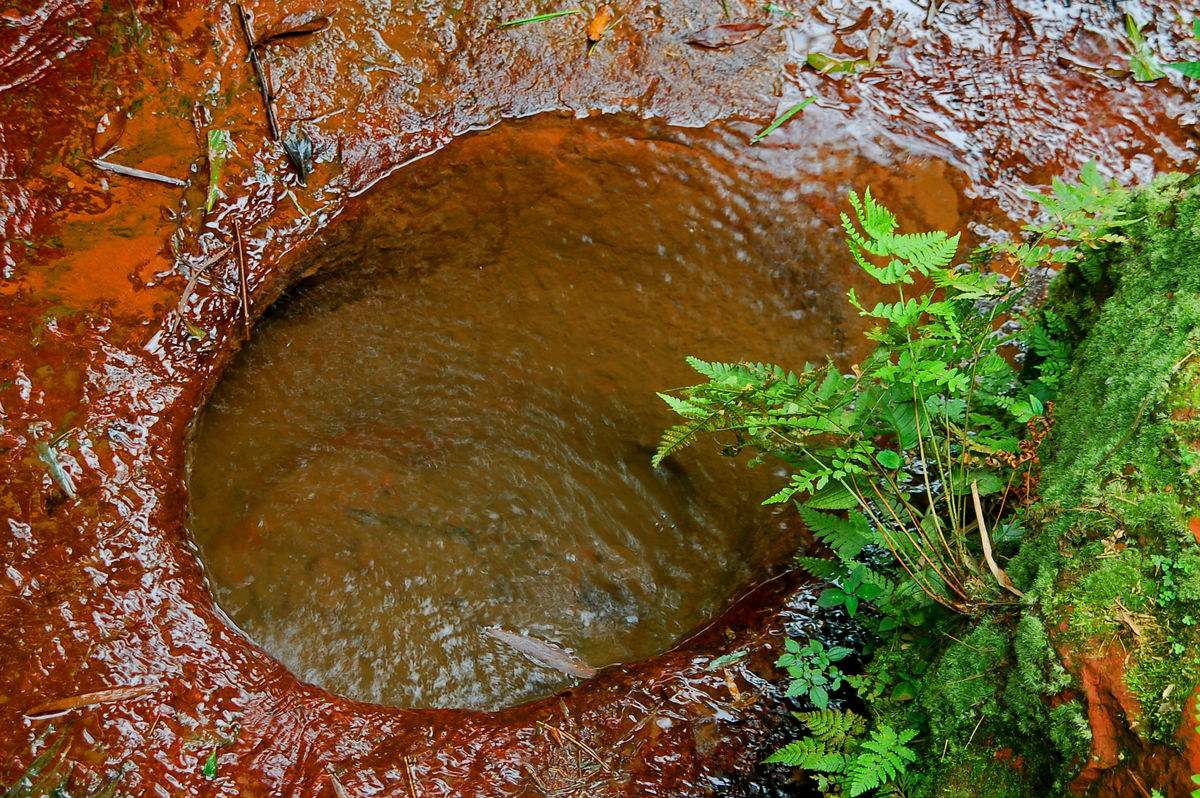 睡觉前的成语故事,成语故事书6-12周岁睡前故事