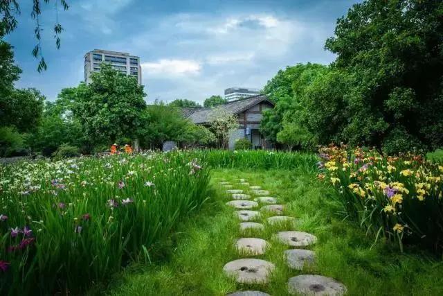 美美美！余杭七大花海组团来袭，遍地繁花好似人间仙境