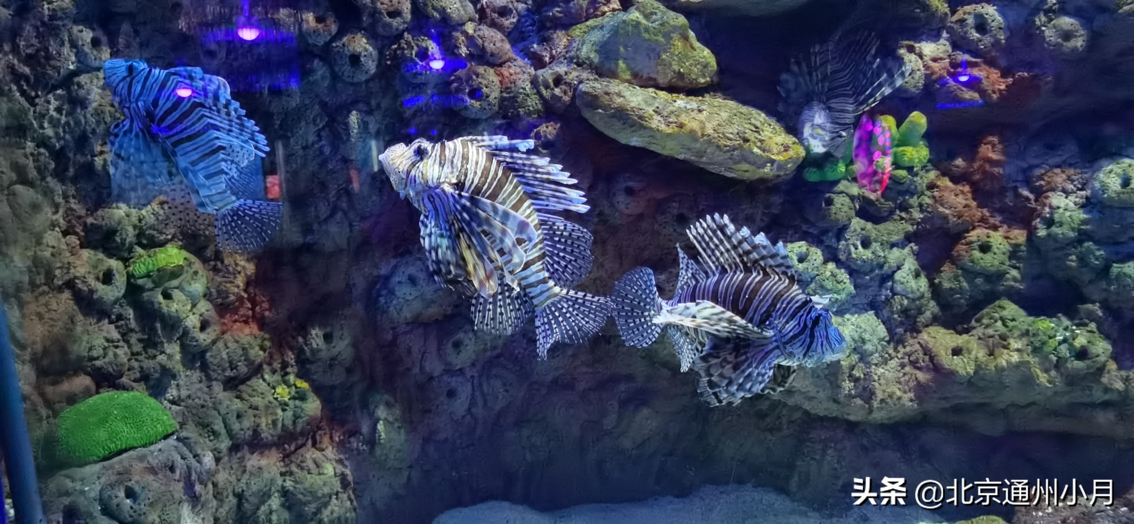 值得去看的海底世界,北京市海底世界门票多少钱