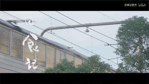 1岁就拥有百万衣橱！？这是人过的日子吗