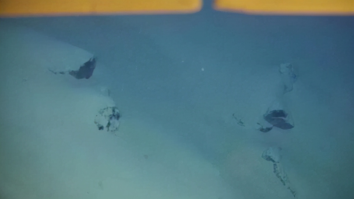 鲸鱼潜到深海不会砸碎藤壶吗,鲸鱼能潜入水下多少米