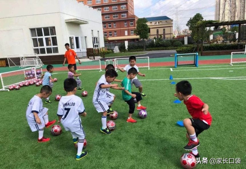 上海市级示范园一览表,上海一级园多久可以评示范园