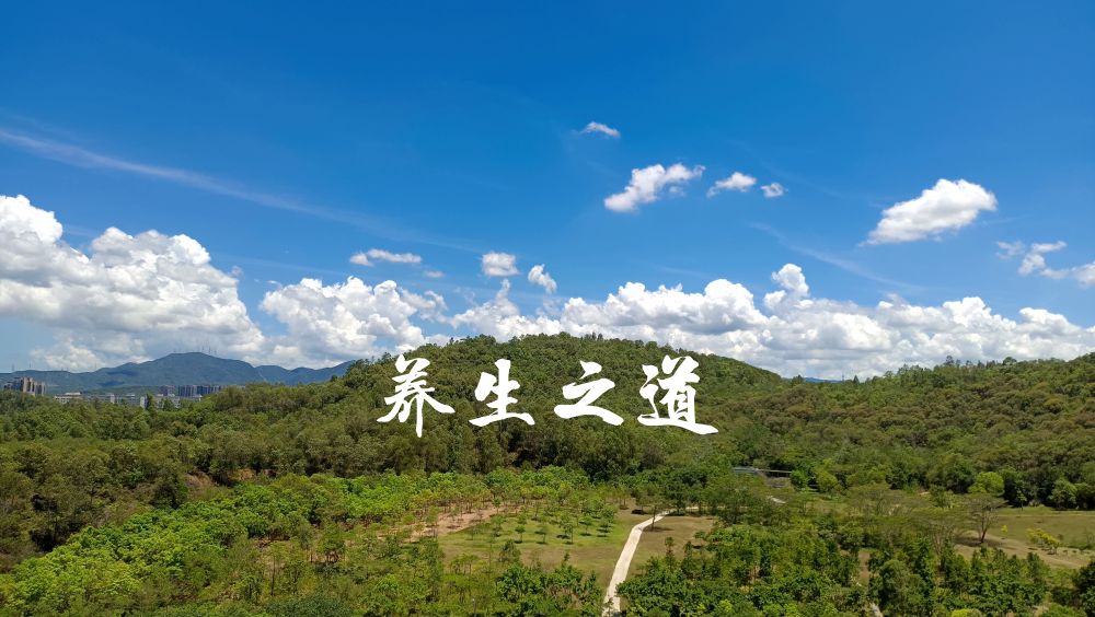 提升五脏六腑阳气的中成药,提升身体阳气推拿手法