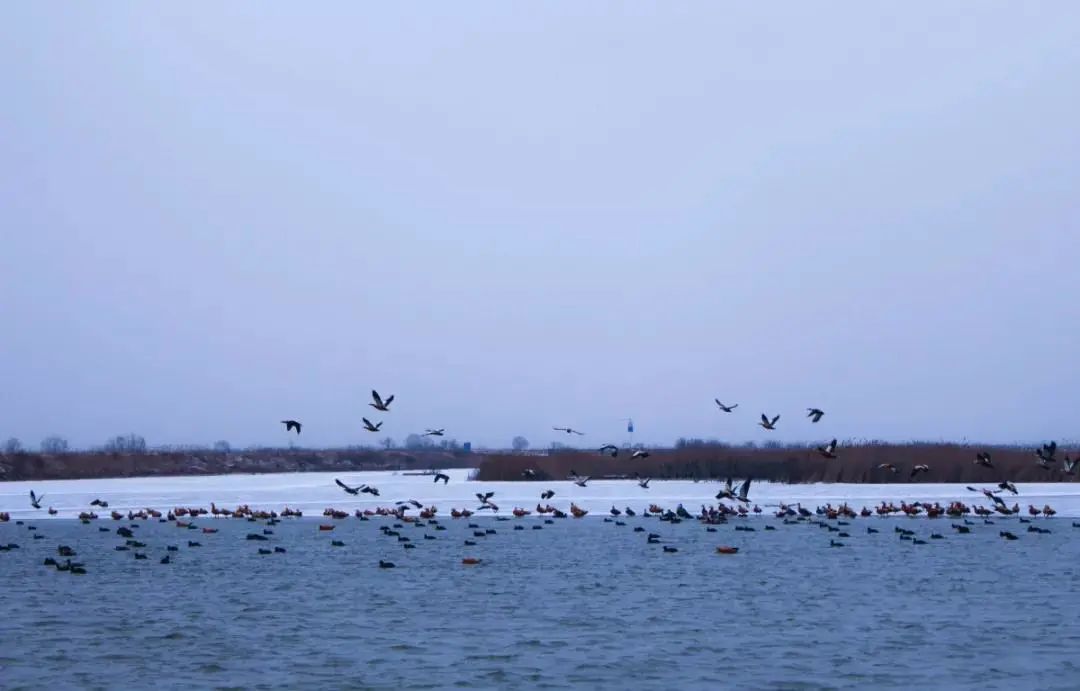 等一场雪，邂逅最美山“冬”｜冬游齐鲁