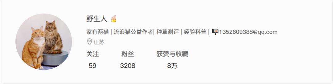 小红书推荐猫粮,猫粮小红书达人