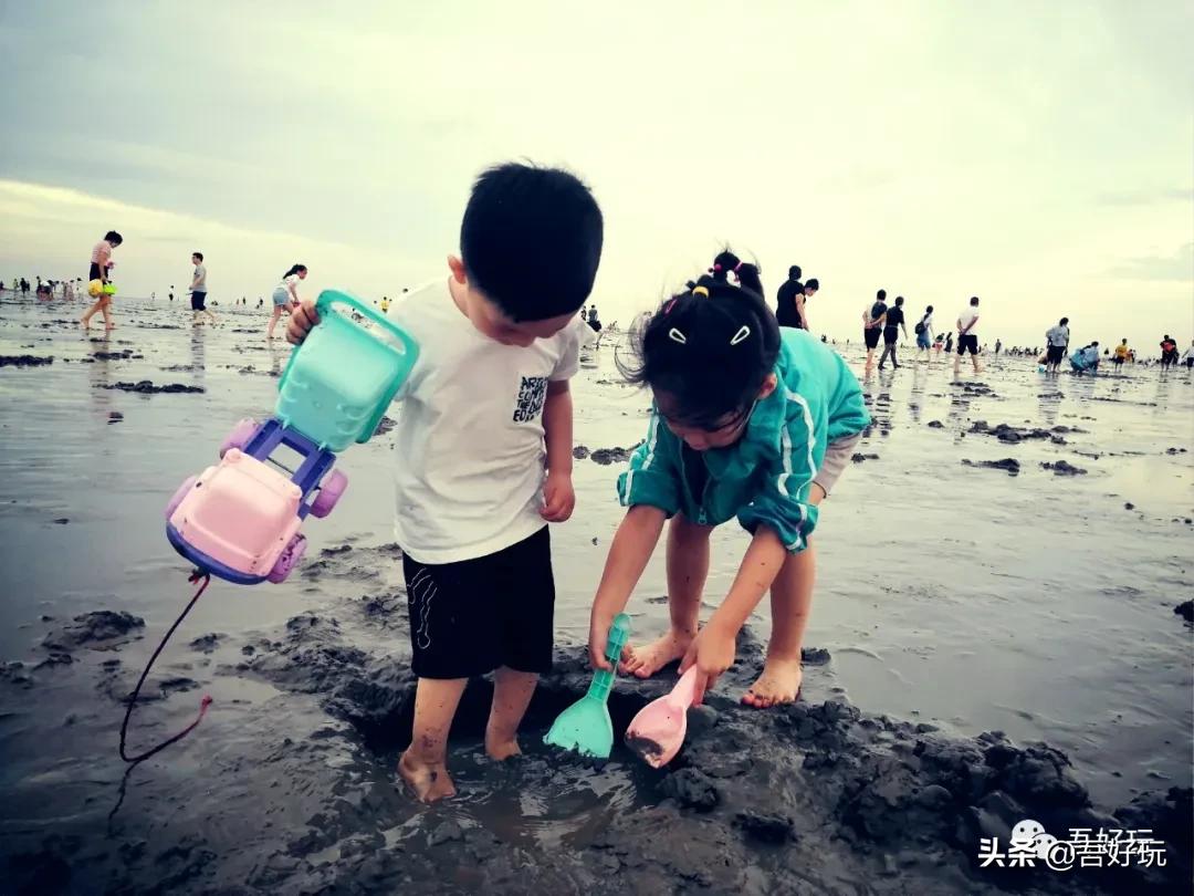 遛娃|南汇新城海滩，魔都夏日必打卡？