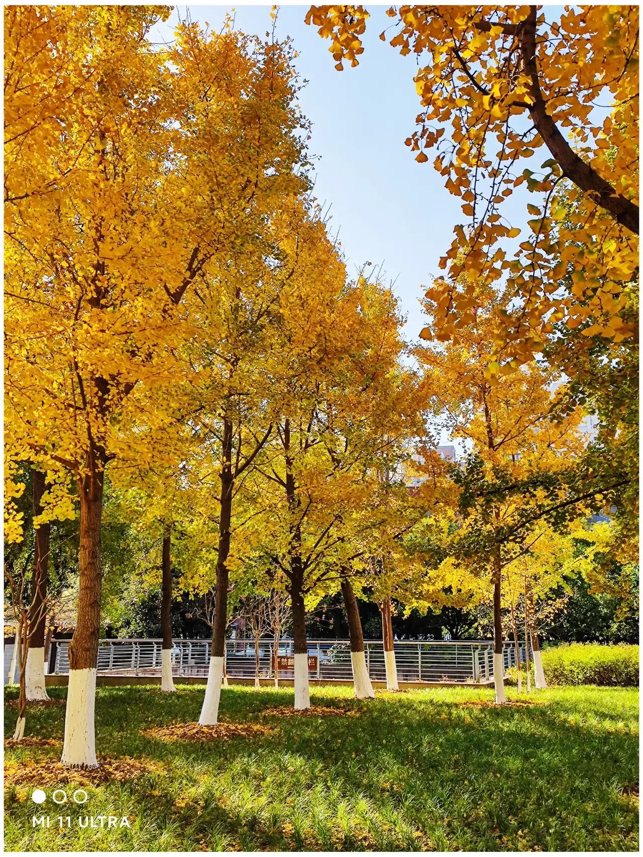 「北理工第五轮学科评估」各大学科专业详细预测及竞争分析