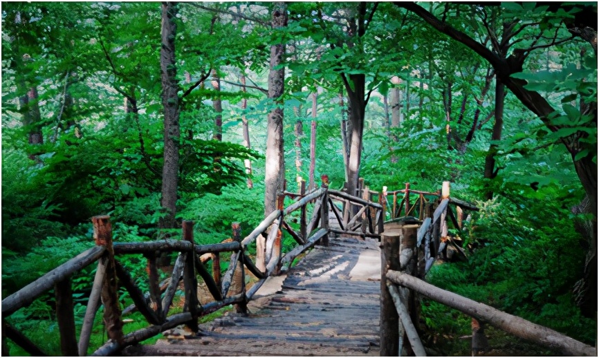 临沂蒙山大洼，自由地享受山里的美食与风景（自驾游）