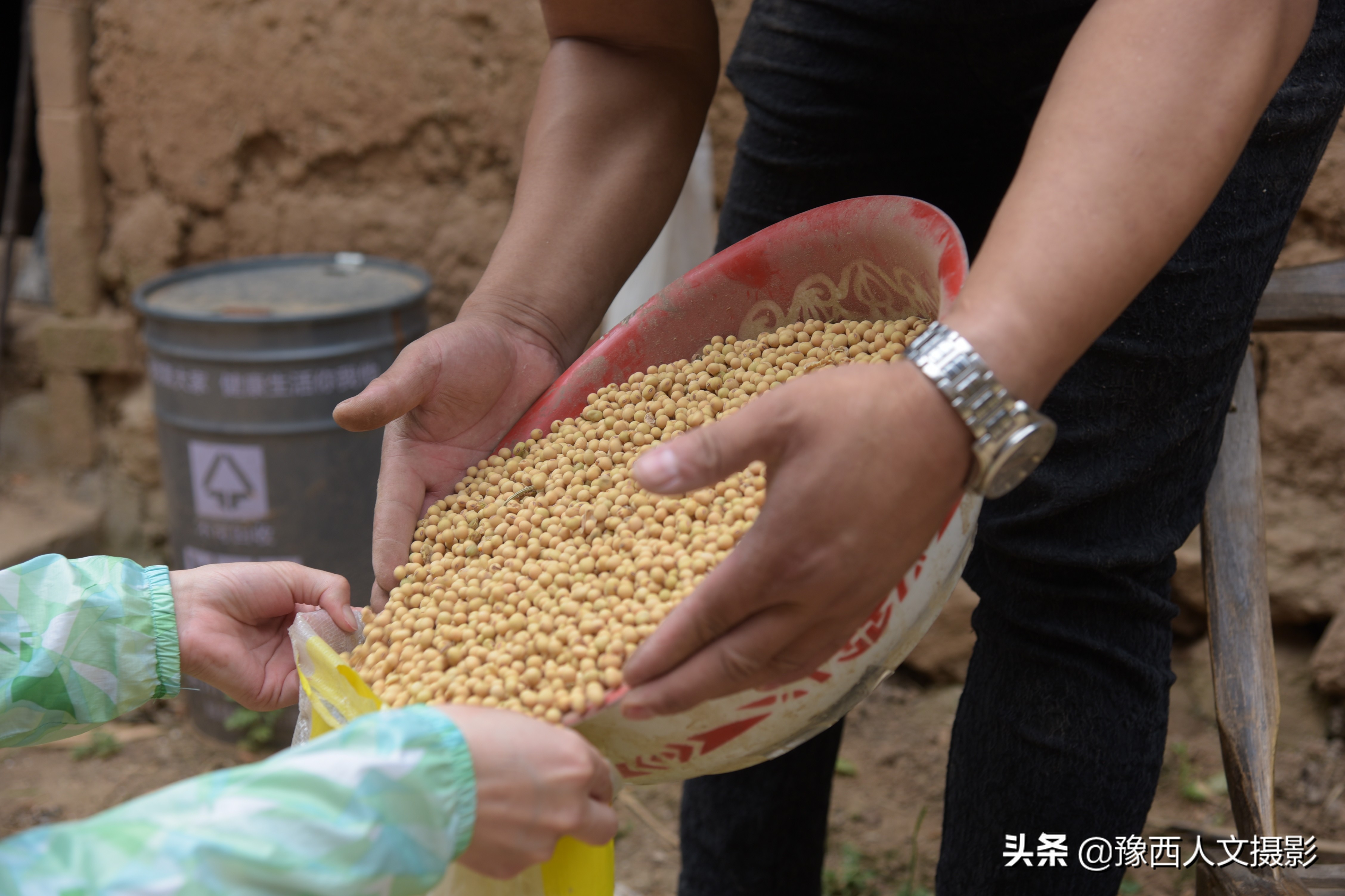 山里父亲10年前为儿子打算，藏一囤小麦两桶黄豆，娶媳妇却没用上