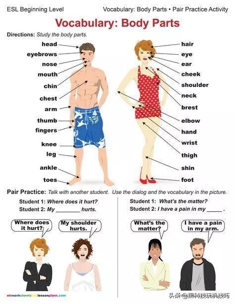 三年级上册英语人体部位怎么读,英语人体部位教读