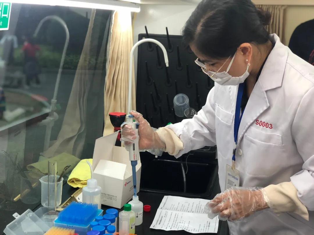 小神兽要回老家读书了,韶关小学神兽返校复课