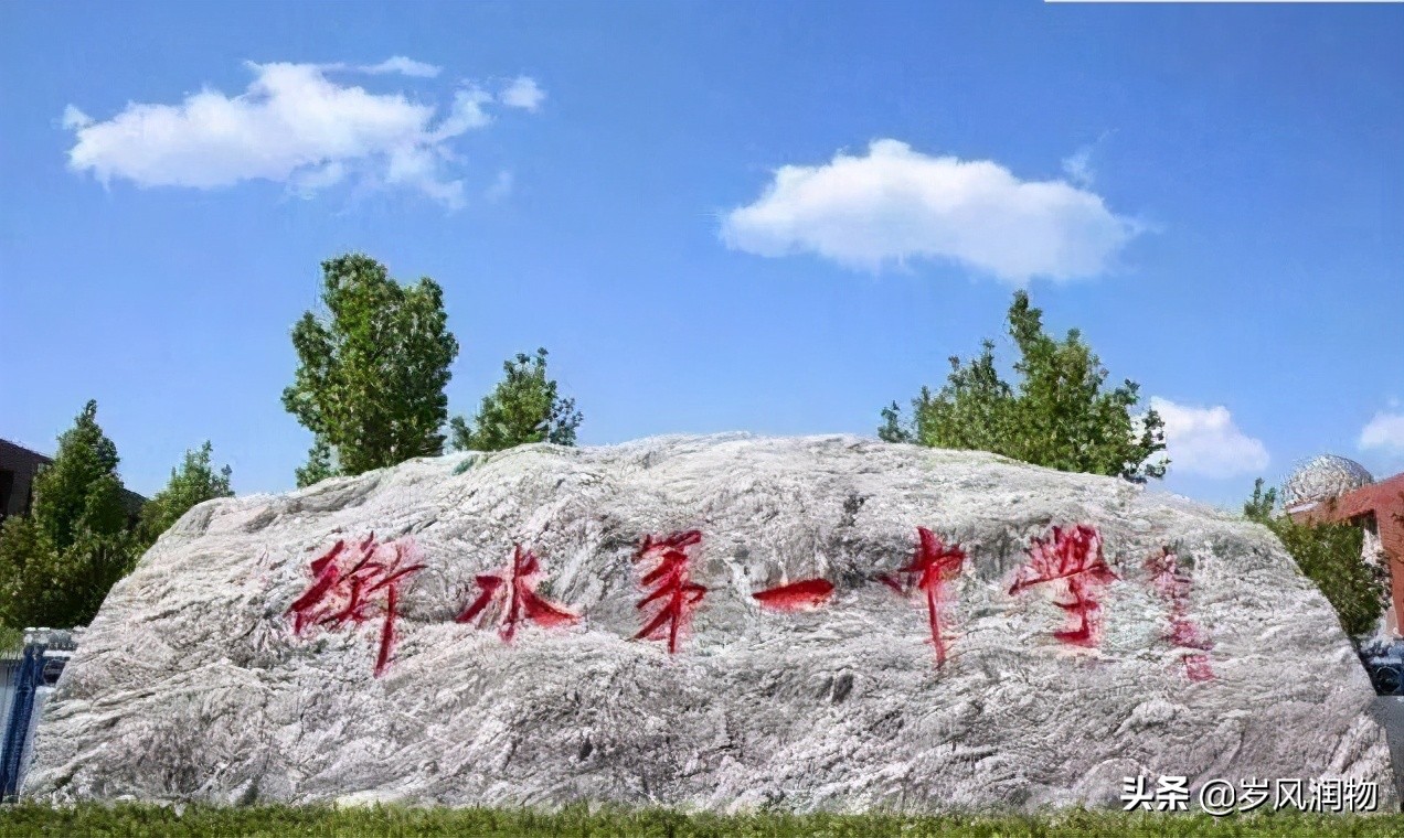 河北省衡水中学的优势,衡水十三中和衡水中学哪个更强