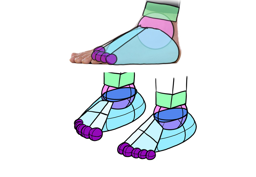 美术人体腿部教学视频,脚部结构绘画教程