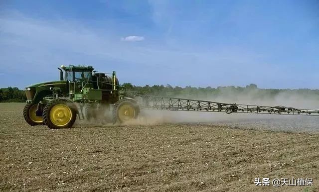 今年棉花用什么除草剂合适,棉花除草剂品种