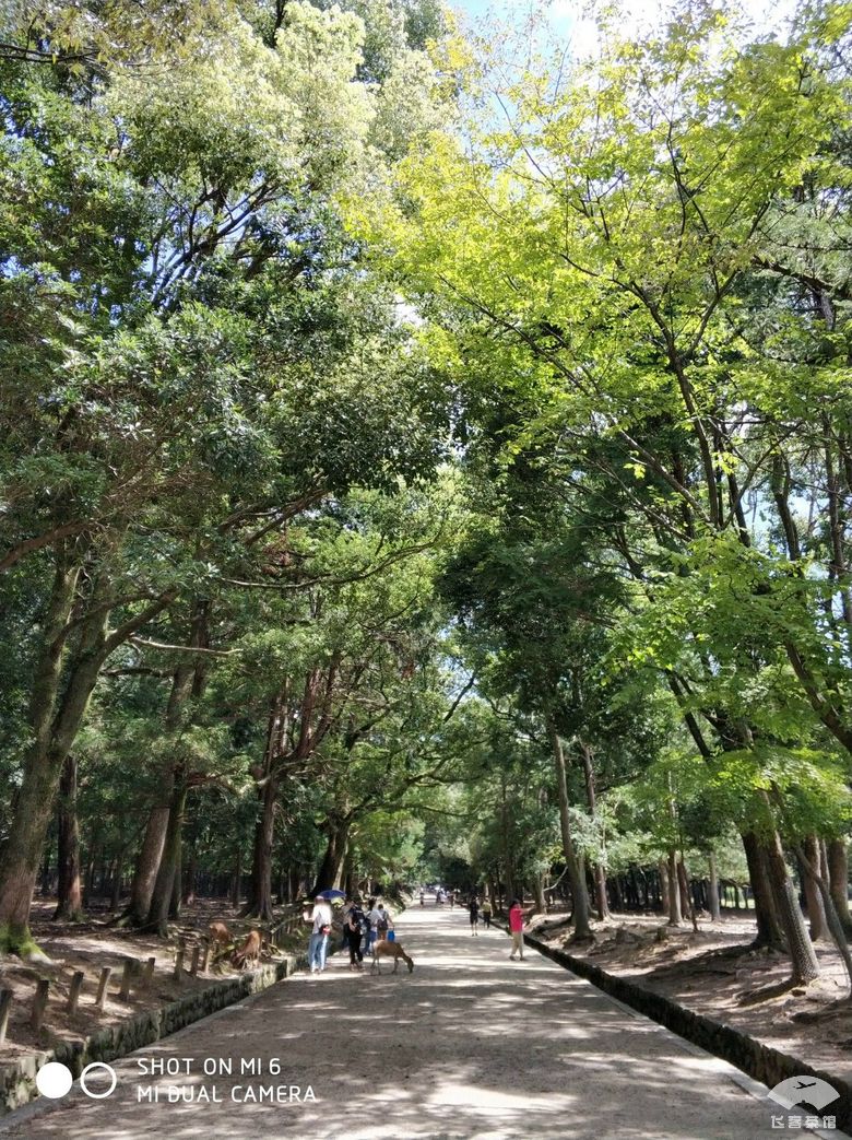 国航白金卡头等舱,国航白金卡选座