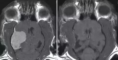 福懋宠物医院最新视频,宠物医院福懋