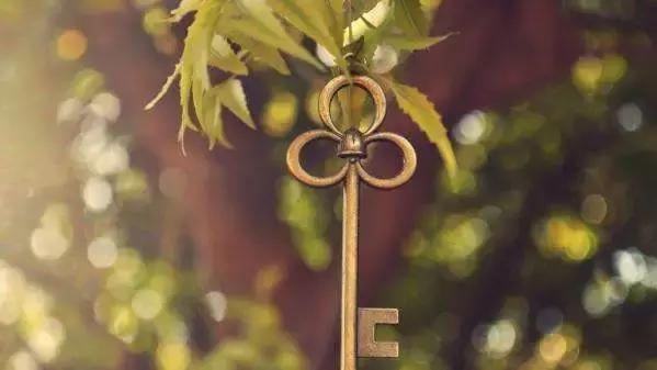 散文岁月之河涛声依旧,散文岁月