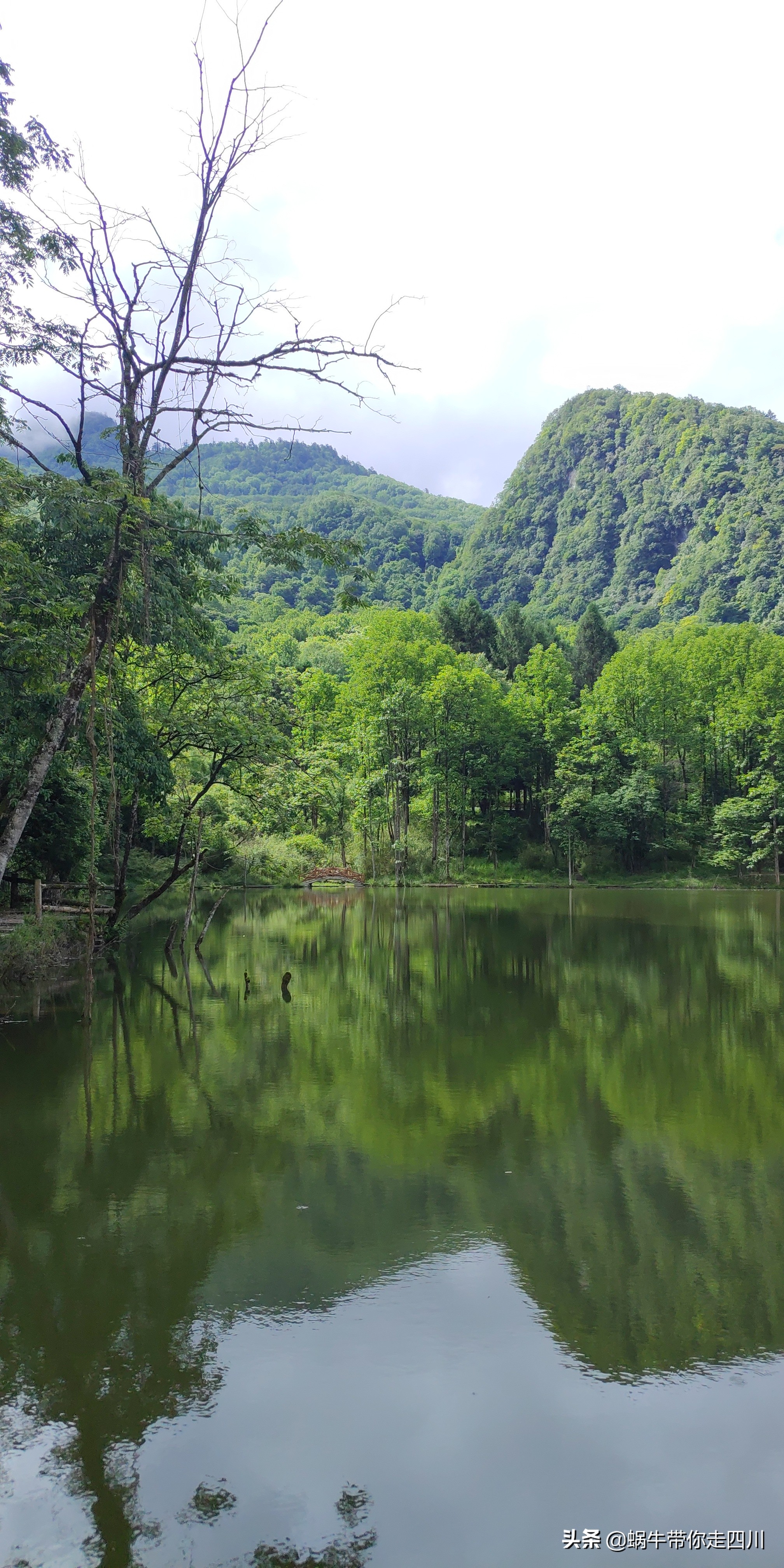 带小朋友出去看小动物,带小孩去海洋动物园
