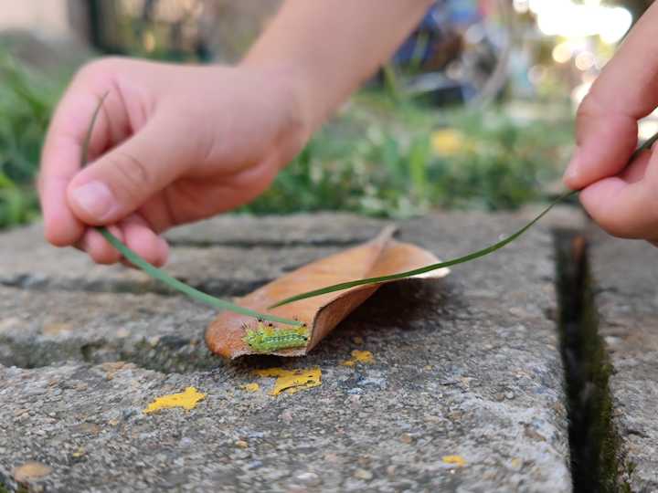 倾听儿童的声音不要自以为是,学会倾听理解孩子的情绪
