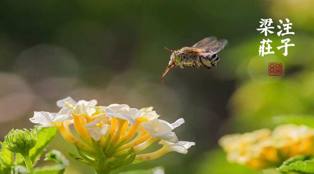 梁冬对话,梁冬的对话完整版