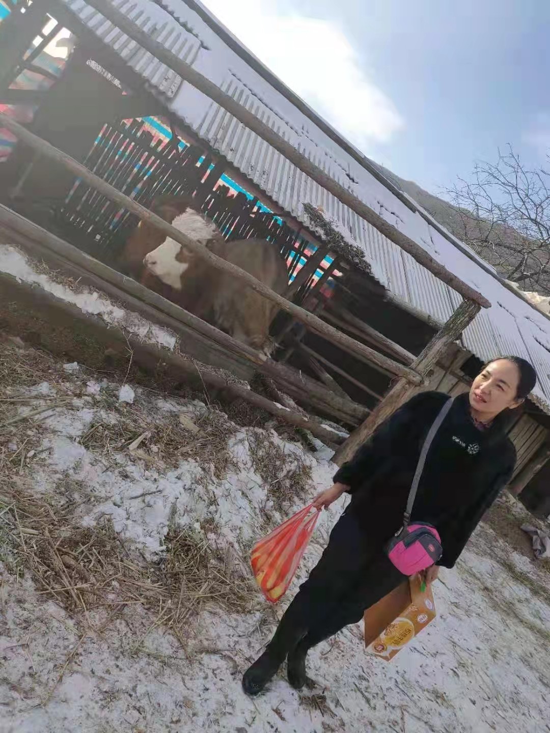 女教师资助贫困学生完整版,女教师救助贫困学生完整视频