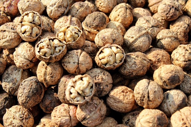 核桃树象征意义多子多福,核桃树红色代表什么