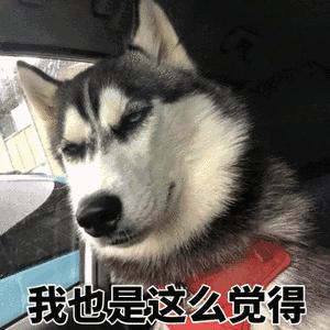 b站蝉蝉,b站的早划算活动在哪里