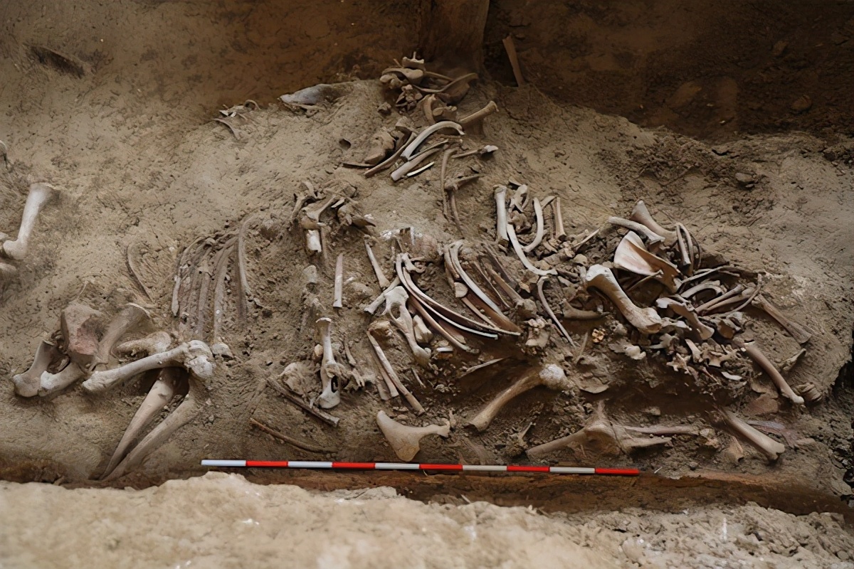 九层妖塔隐藏什么样的财富力量,真正的九层妖塔在哪