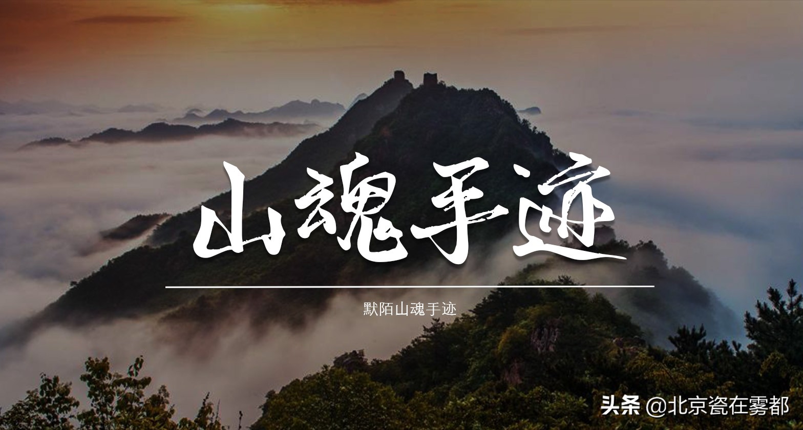 自媒体字体排行榜前十名,自媒体字体怎么写才好看