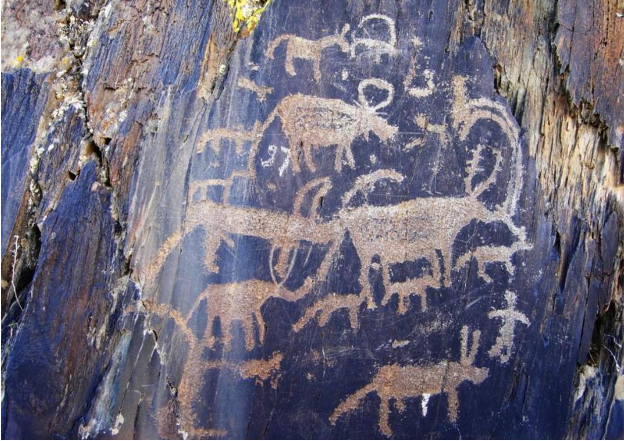 新疆沙湾美食合集,新疆沙湾特色美食推荐