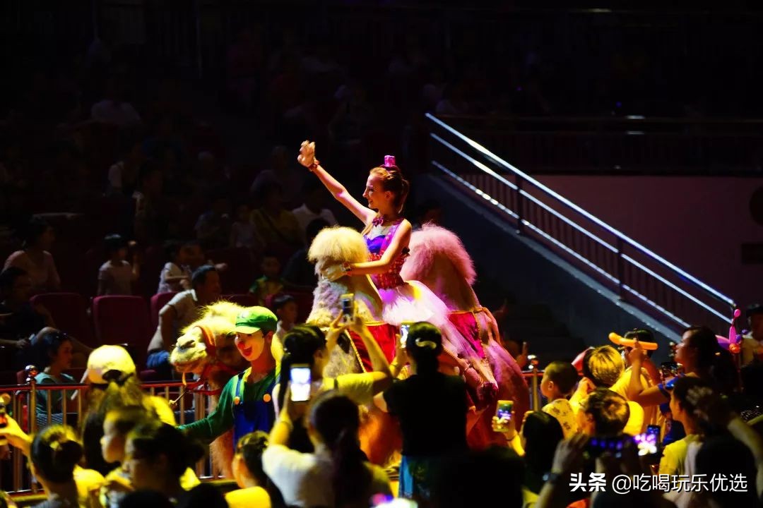 厦门灵玲动物王国大熊猫,厦门马戏团灵玲动物王国观光游览