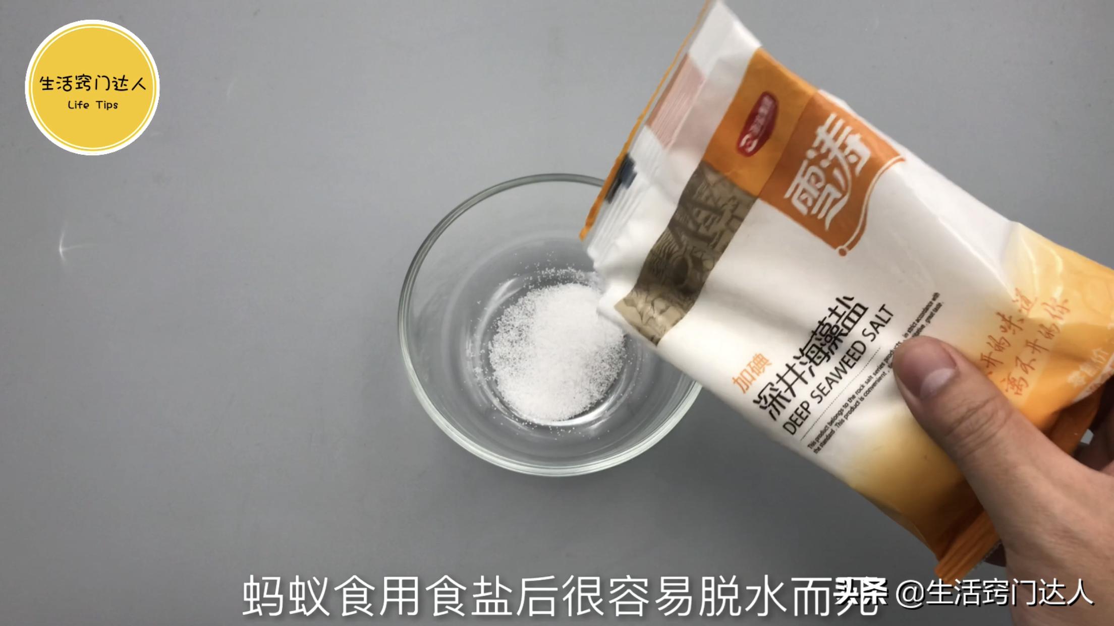 用开水烫蚂蚁有用吗,别用开水烧蚂蚁