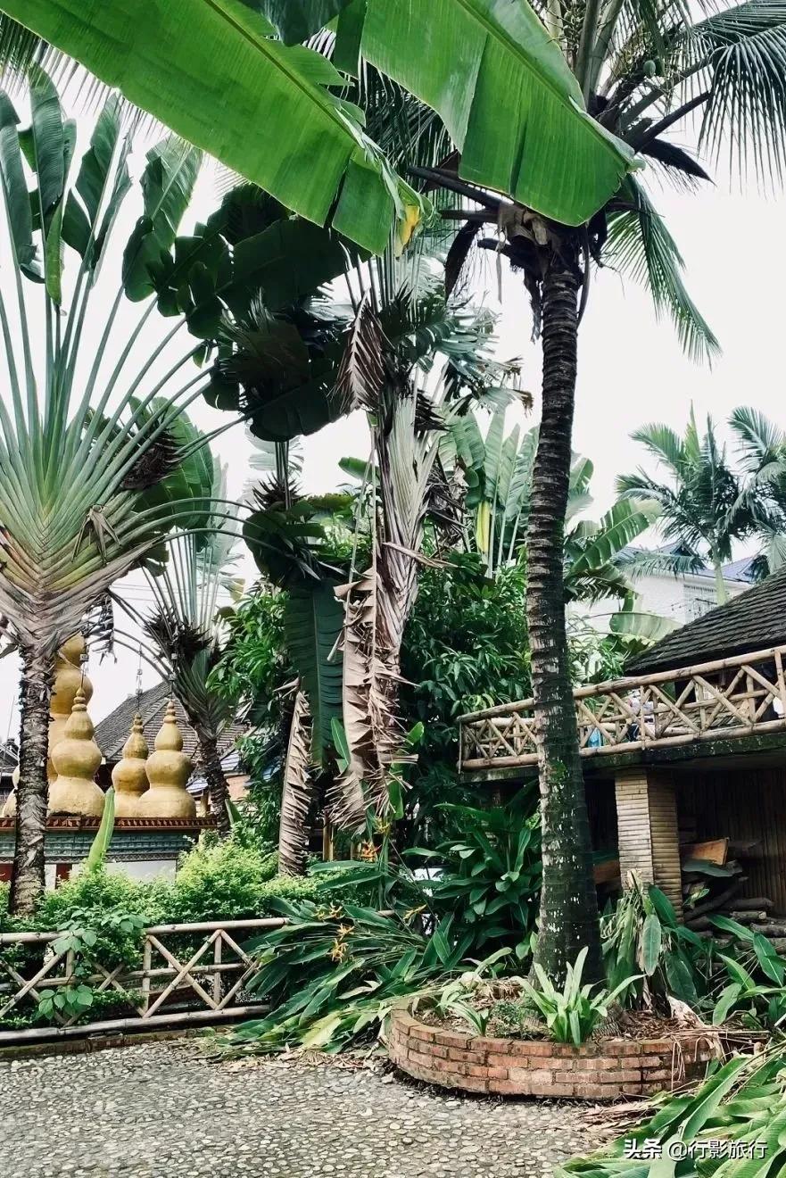 云南西双版纳地方介绍,云南西双版纳旅游简介