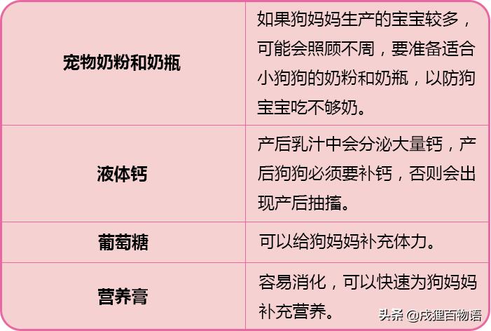 你会给狗狗接生吗?狗狗第一次生孩子需要注意什么?