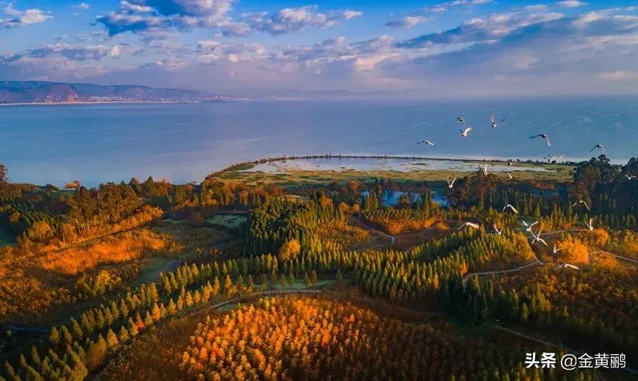 为什么云南女人长相好看,云南真的很漂亮吗