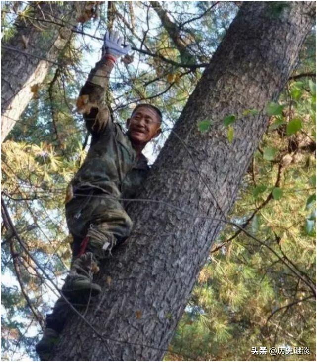 世界上最危险的工作打松塔,全世界最危险的工作合集