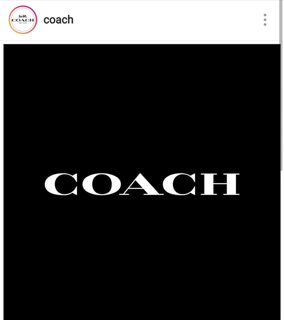 纪梵希道歉视频全集,纪梵希道歉视频完整