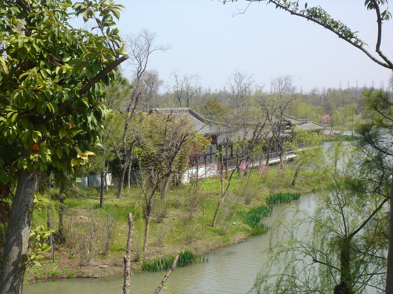 三月的瘦西湖到底有多美,瘦西湖景色到底有多美