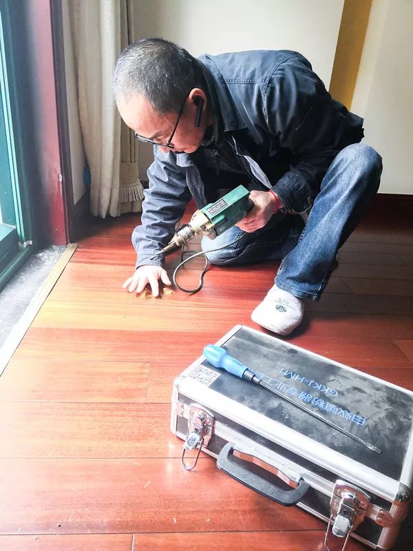 发现零星白蚁怎么处理,太仓室内白蚁预防费用多少