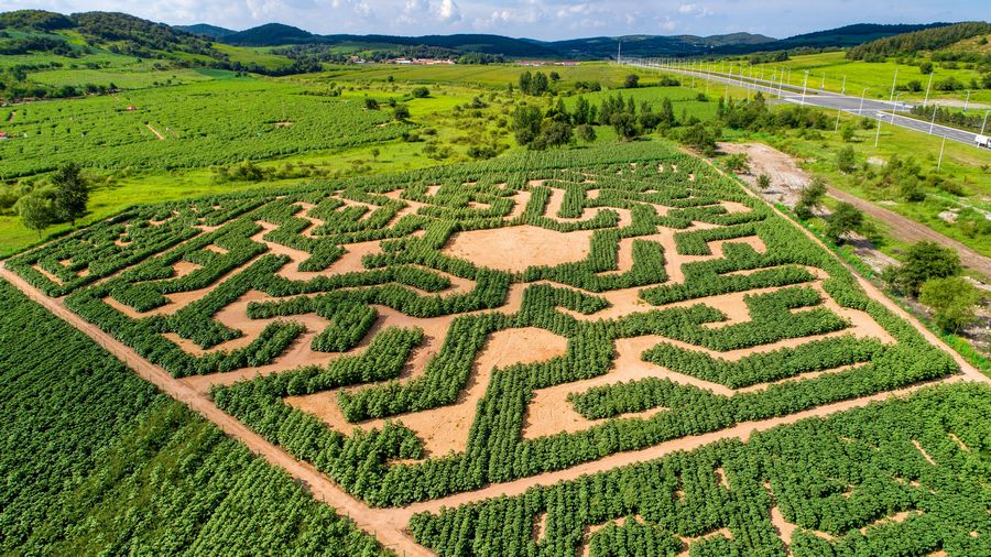 长春莲花山未来有发展吗,长春莲花山未来发展规划