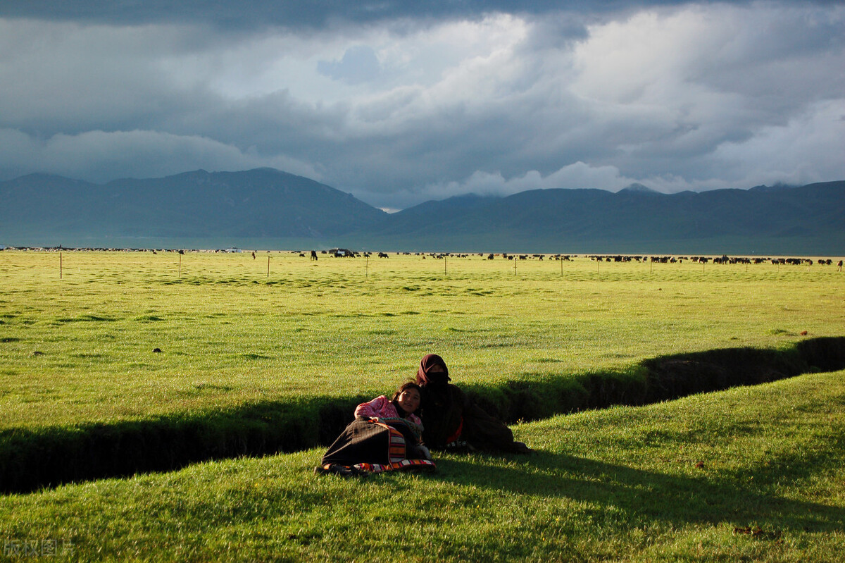 九色甘南之旅,九色甘南净土天堂深度之旅攻略