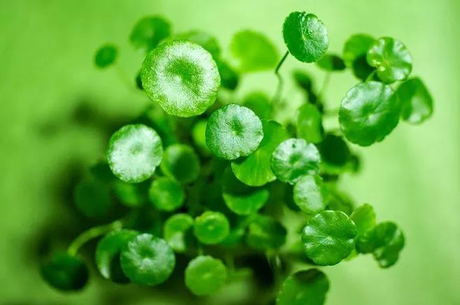 修护肌肤屏障平价面膜推荐,补水焕白修复屏障面膜