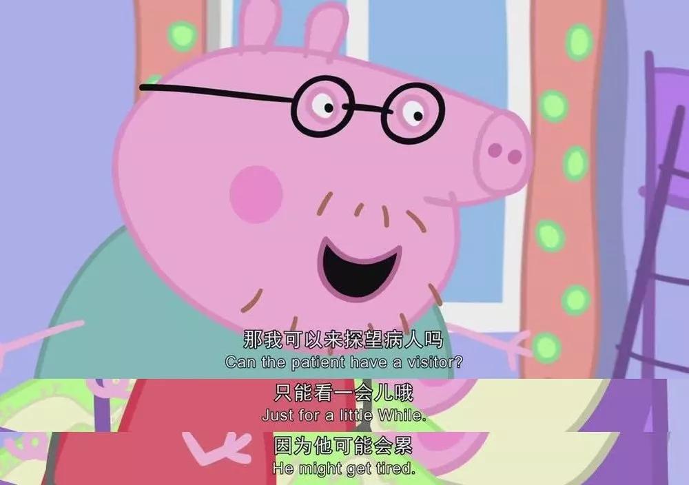 小猪佩奇带小仙女学习英语口语,小猪佩奇英语学习带翻译
