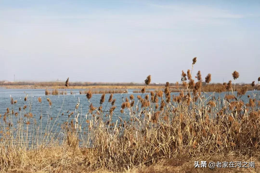 太昊陵庙会为什么这么火,太昊陵庙会单日客流量纪录是多少