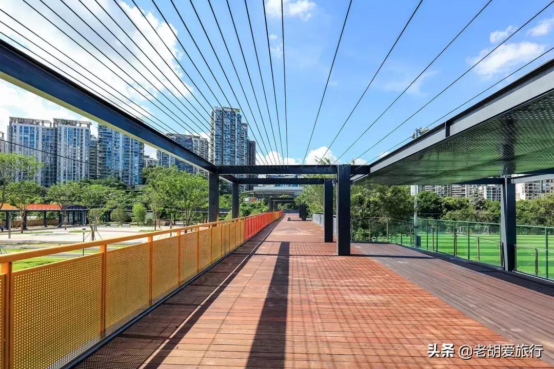 深圳不可错过的游玩地方,2022早春深圳踏青好去处