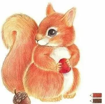 彩铅可爱的小松鼠,彩铅画可爱动物飞鼠