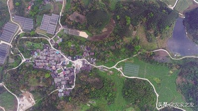 融安县大良镇古兰村覃彩榴带领群众建设脱贫致富路的故事