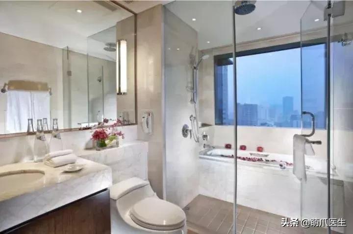 带宠物住宿酒店,带宠旅行酒店