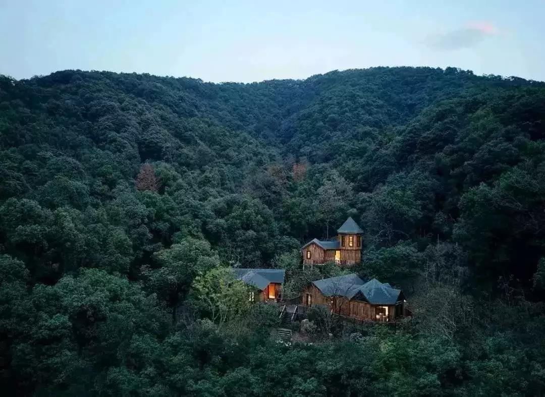 浪漫树屋、奇妙酒店、恒温水乐园...去江浙沪Top酒店跨个30℃的年